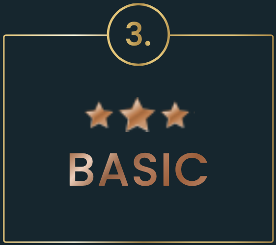 angebot-basic