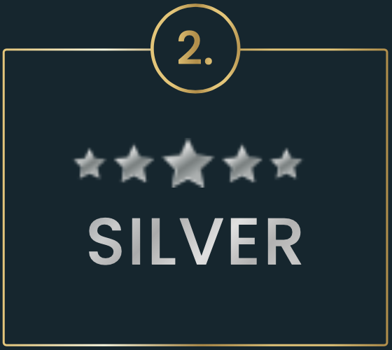 angebot-silver